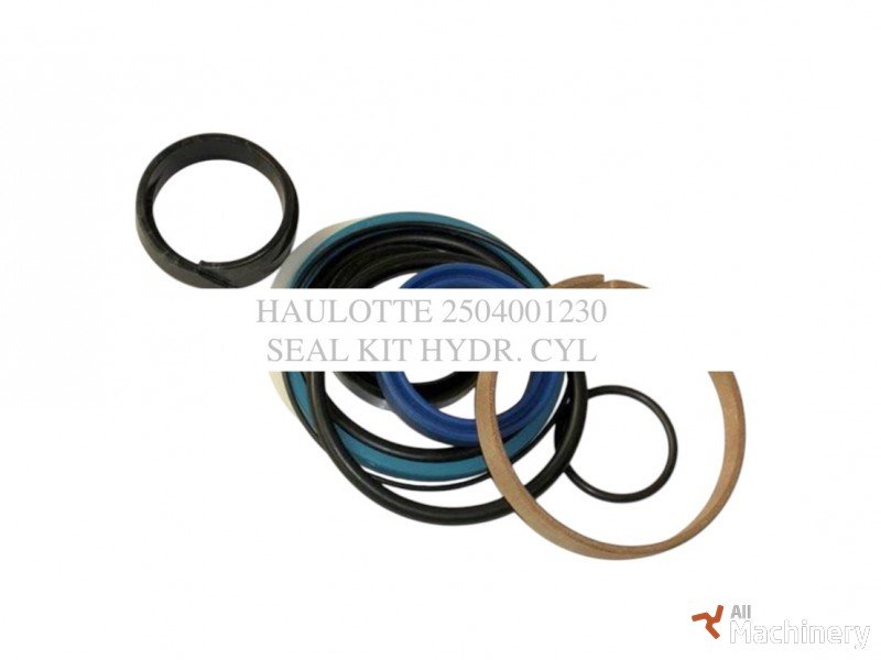 HAULOTTE 2504001230 Keltuvų hidraulinės sistemos dalys (2026 m.) #8441